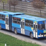 BRS-306