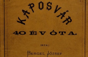 Kaposvár-krónikát írt az orvos