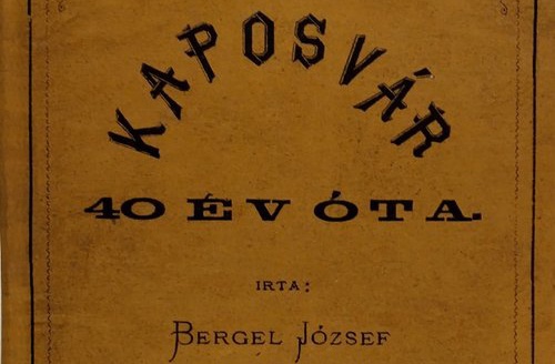 Kaposvár-krónikát írt az orvos