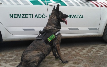 2023-ban is keres kiképezhető kutyákat a NAV