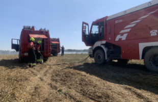 Kidöntötte a traktor a villanyoszlopot, leszakadtak a vezetékek, a szikrák miatt pedig lángra kapott a tarló