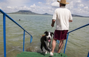 Fonyódon nyílt meg az első kutyás strand