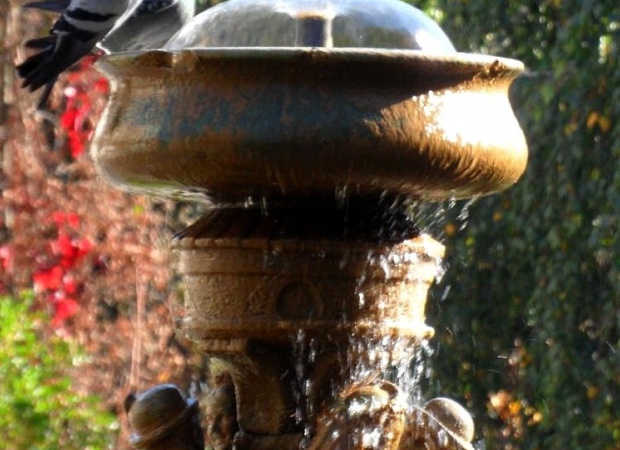 Séta a Színházparkban