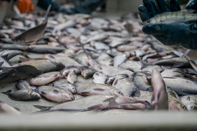 Fotó: NAK/Lévai Zsolt