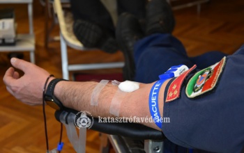 Segítő kezet nyújtottak a kaposvári tűzoltók