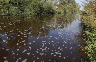 Halászati tilalom a Kaposon