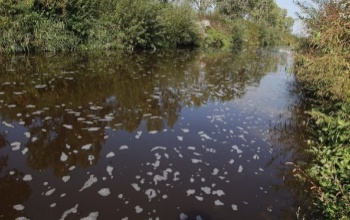 Halászati tilalom a Kaposon