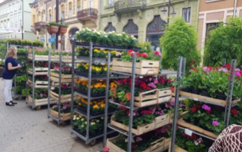Csütörtökön ismét Virágvásár lesz Kaposváron