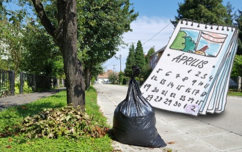 Ezeken a napokon szállítják el a zöldhulladékot 2020-ban