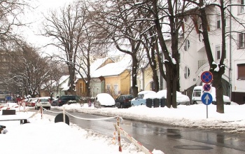 Február közepén folytatódik a Németh István fasor felújítása