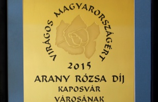 Arany Rózsa díjat kapott Kaposvár
