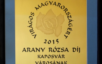 Arany Rózsa díjat kapott Kaposvár
