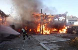 Sertésólak borultak lángba Lábodon