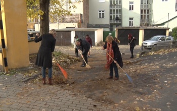 A téma az utcán hever, meg kollégánk is - (letapadt) levelekre válaszolunk