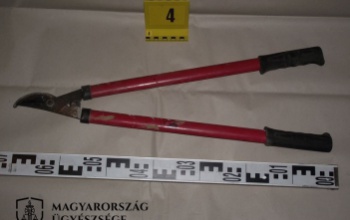 Napokon keresztül ütlegelte élettársát