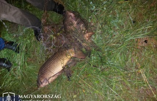 „Nyakzó” hálóval orvhalászott a két vádlott