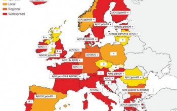 Tizenöt európai országban van kiterjedt influenzajárvány