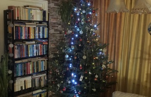 Győri család karácsonyfája