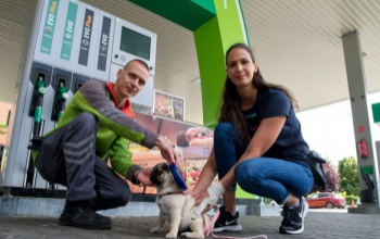 Országszerte már több mint 150 benzinkúton elérhetőek a kutyachip-leolvasók