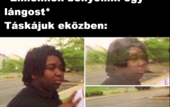 Íme a legjobb alkotások a rendőrség mém-készítő versenyéről