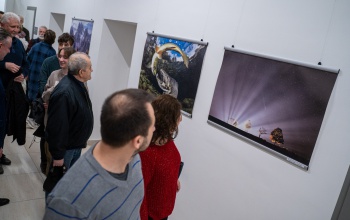 Megnyitotta idei kiállítását a Compur Fotóklub