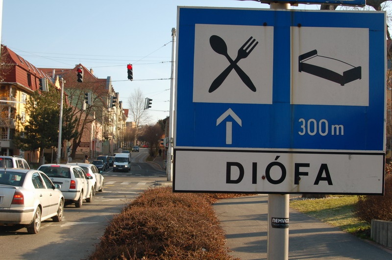 diófa