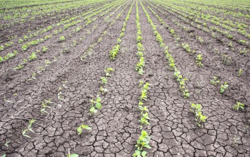 Tartósan vízhiányos időszak kihirdetését kezdeményezte az Agrárminisztérium