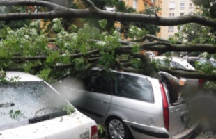 Kidőlt fák, vízzel elöntött területek adnak munkát a tűzoltóknak