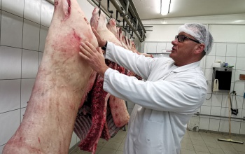 Így készül az igazi, finom, házias, húsvéti sonka